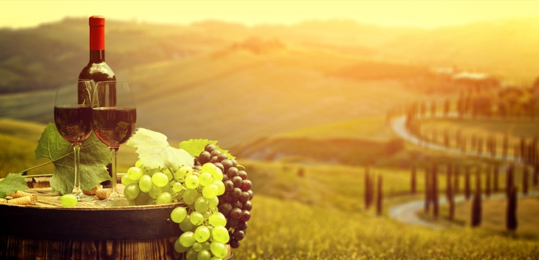 Vinski turizem – hitro rastoči segment panoge